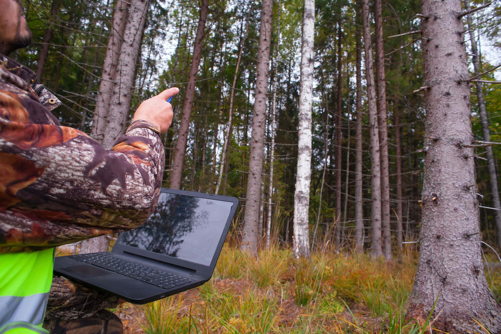 Förster mit Laptop im Wald zeigt auf Baum